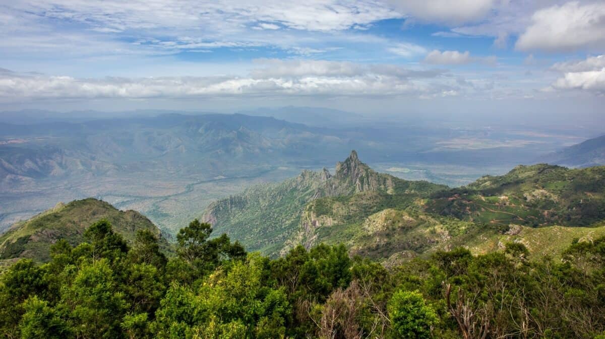 Western Ghats, Tamil Nadu