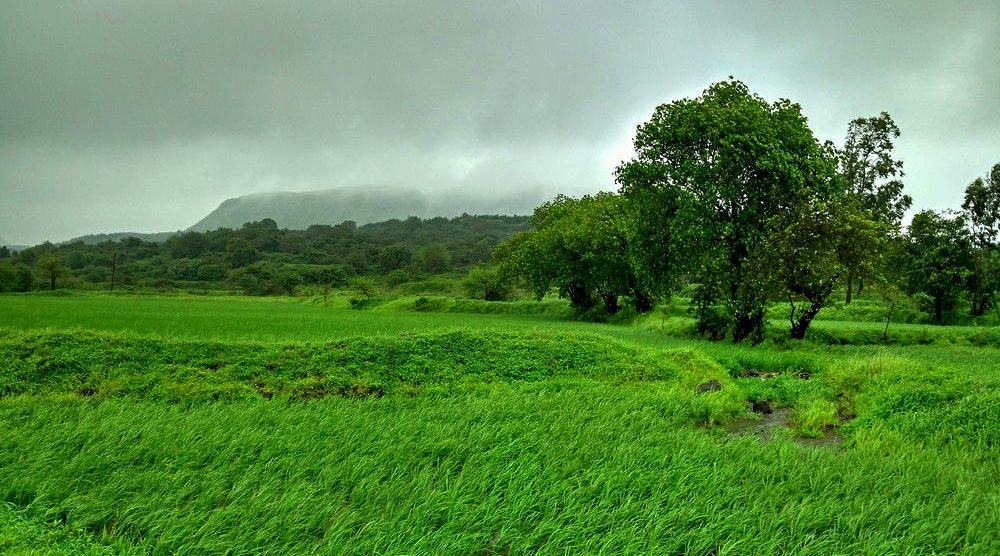 Western Ghats, Maharashtra, India during the monsoon