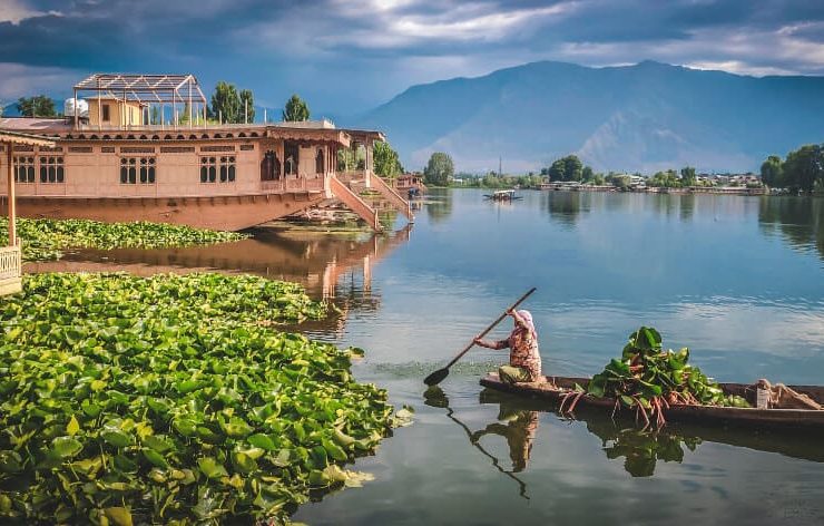 Dal Lake Kashmir India in monsoon