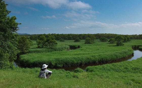 Wetland in Hokkaido, Japan