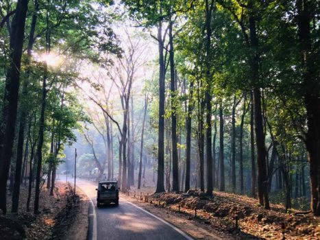 road at Corbett National Park