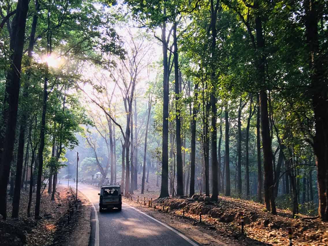 Guide to Corbett National Park - Breathedreamgo