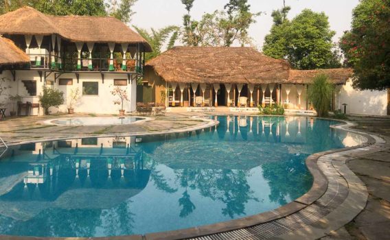 swimming pool at Jim's Jungle Retreat, Corbett wildlife lodge