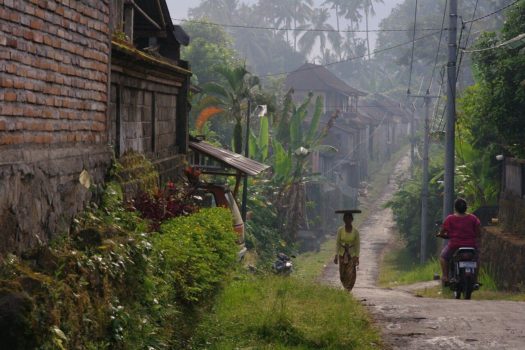 Village scene in Bali.