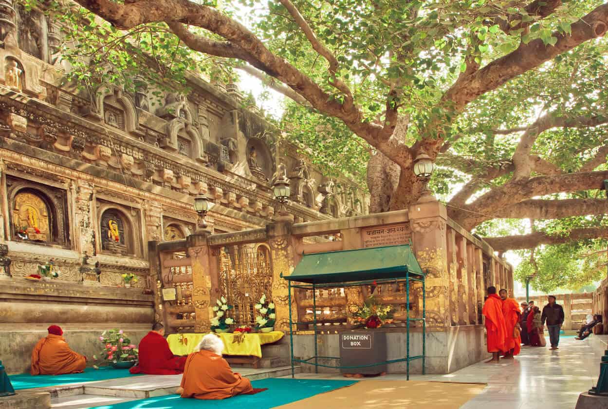 Buddhist Monks meditate under the Bodhi tree at Bodh Gaya