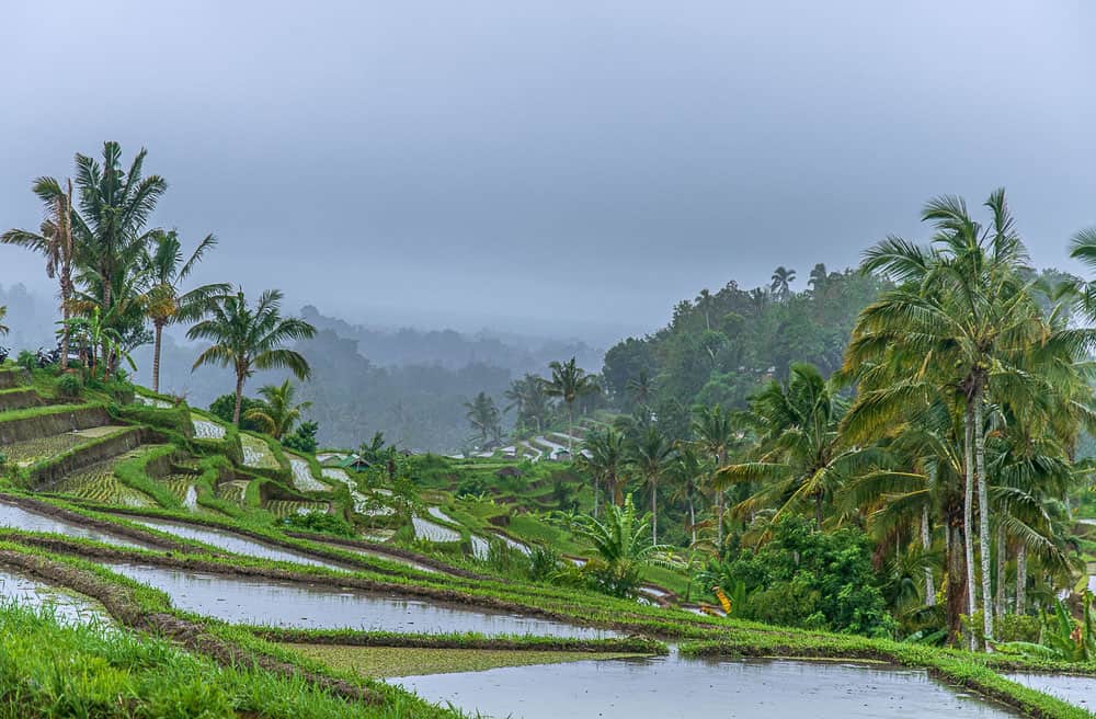 14 Greatest monsoon journey locations Travellers Destination