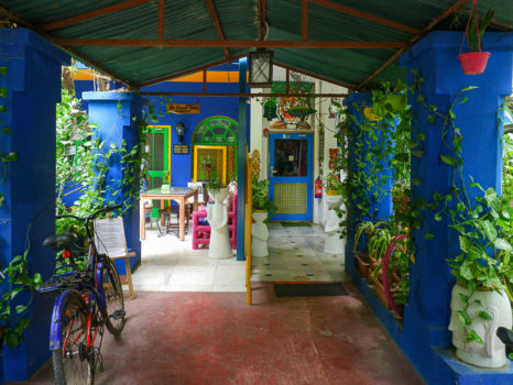 Entrance to Coral Tree Homestay, Agra.
