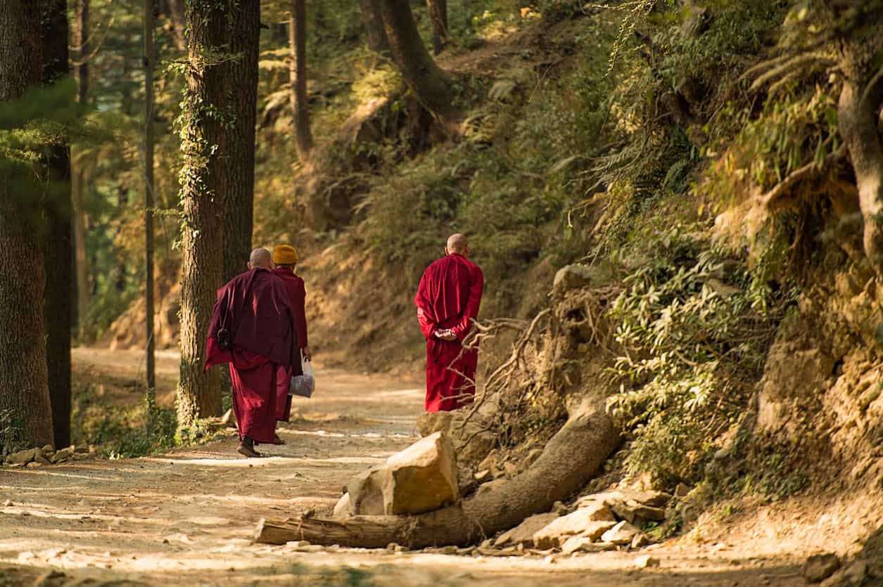 Tibetan monks in Dharamsala, India