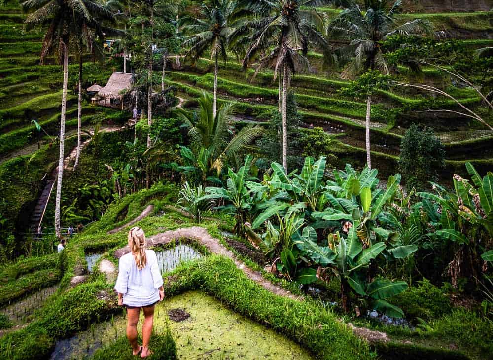Visiting a rice terrace is one of the best things to do in Bali