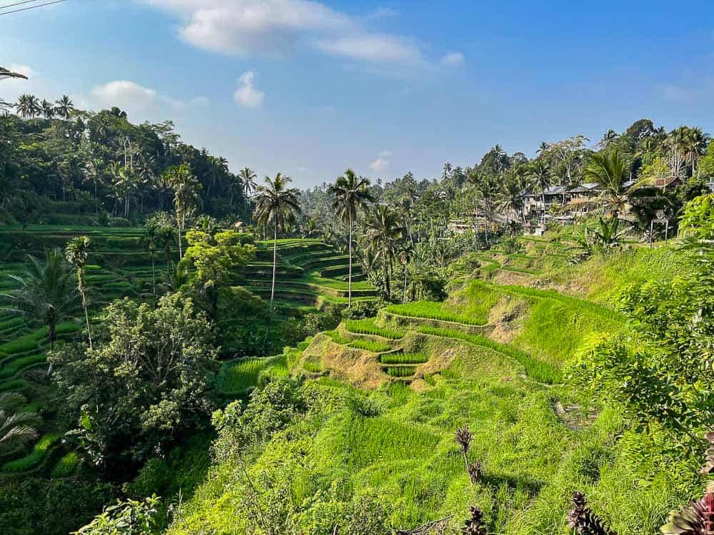 Tegalalang Rice Terraces, Ubud, Bali