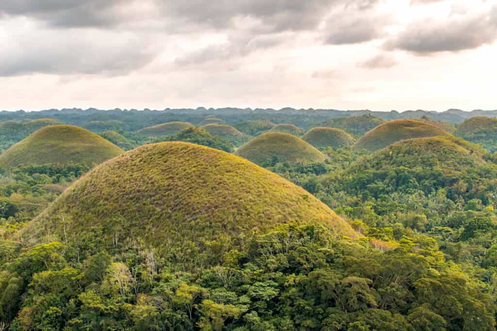 Jungles of Bohol island, Philippines