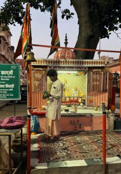 Dawn Jaipur tour of Pink City