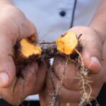 CGH Earth Marari Beach Resort. Photo credit: Andrew Adams Photography CGH Earth Marari Beach Resort the best Kerala Hotels