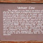 CGH Earth Coconut Lagoon the best Kerala Hotels and resorts